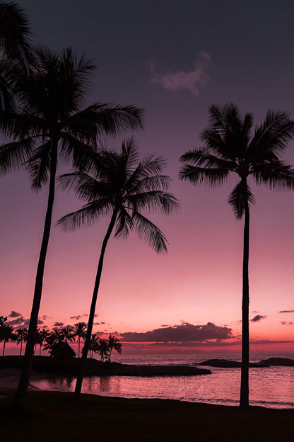 Tropical Sunset Canvas | Hawaiian Sunset Print | 17 Mile