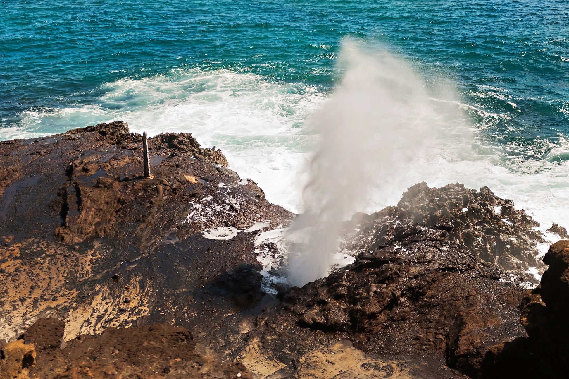 Halona Blowhole Canvas | Halona Blowhole Print | 17 Mile