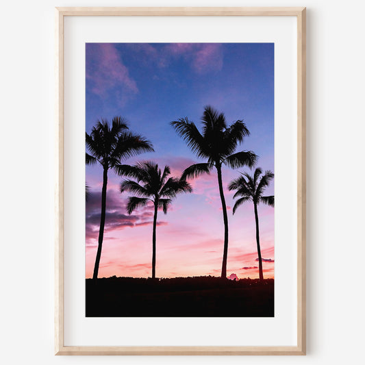 Palm Tree Canvas | Palm Tree Print | 17 Mile