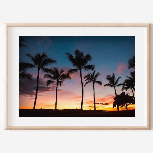 Stylish Home Decor Canvas | Palm Tree Canvas | 17 Mile
