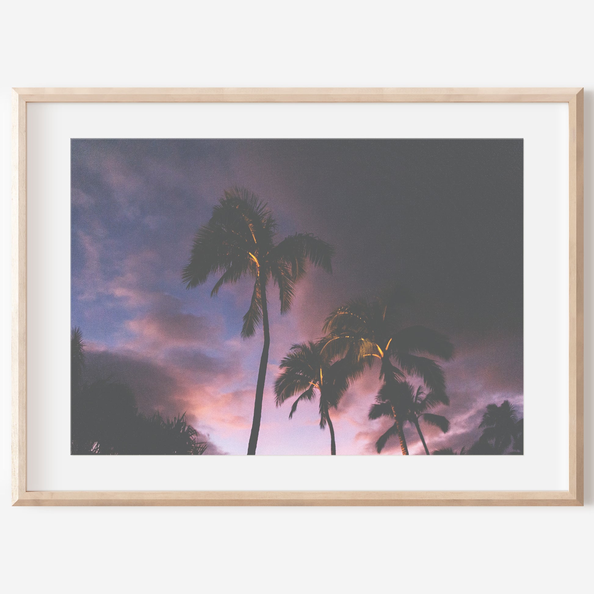 Swaying Palms Canvas | Wall Art Canvas | 17 Mile