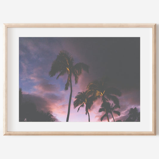 Swaying Palms Canvas | Wall Art Canvas | 17 Mile