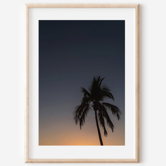 Sunset Palm Tree Print | Sunset Palm Tree Canvas | 17 Mile