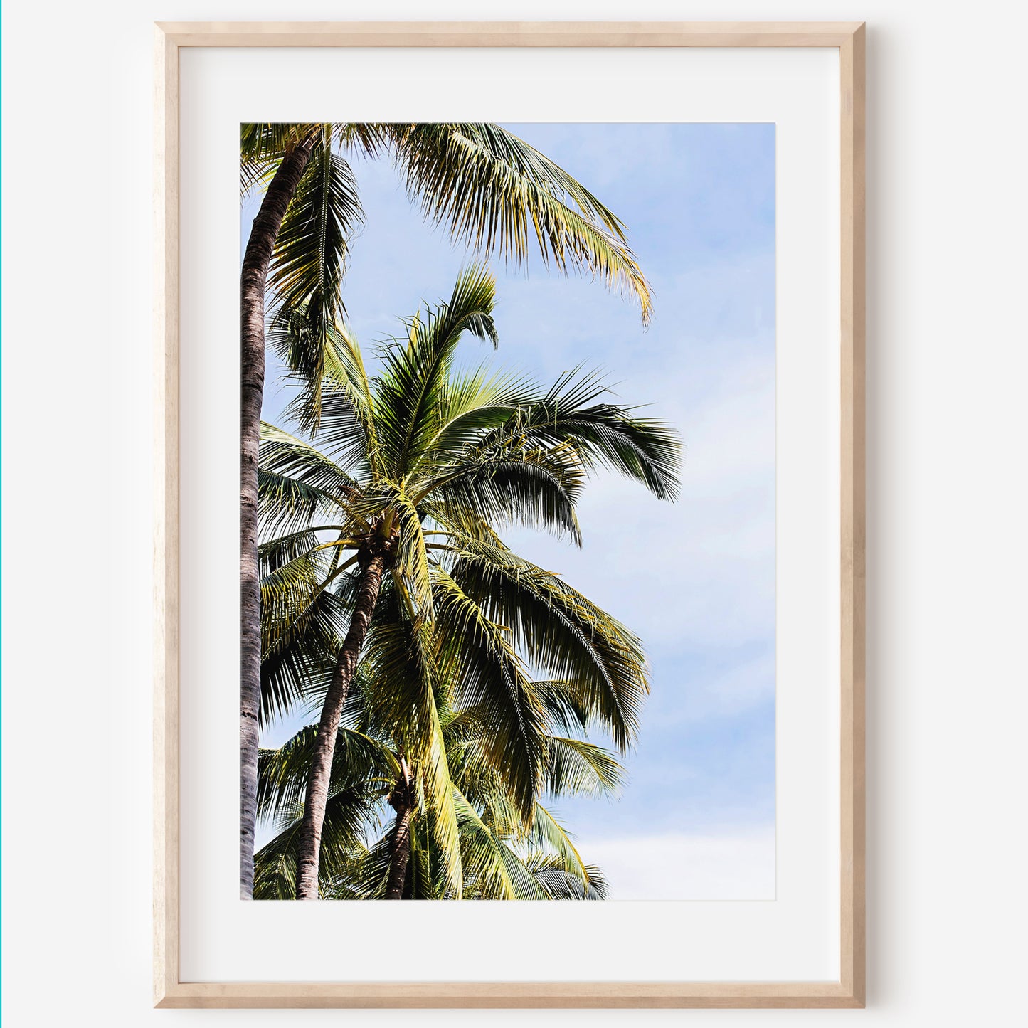 Beach Palm Tree Print | Palm Trees Canvas | 17 Mile