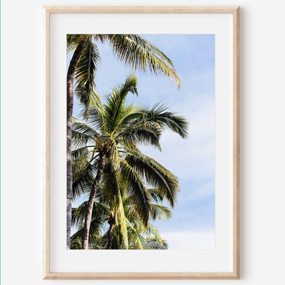 Beach Palm Tree Print | Palm Trees Canvas | 17 Mile