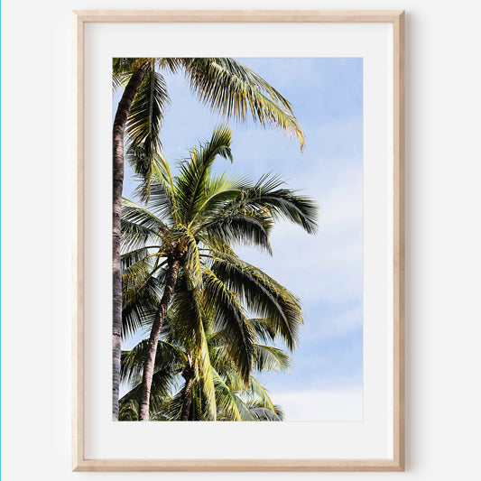 Beach Palm Tree Print | Palm Trees Canvas | 17 Mile
