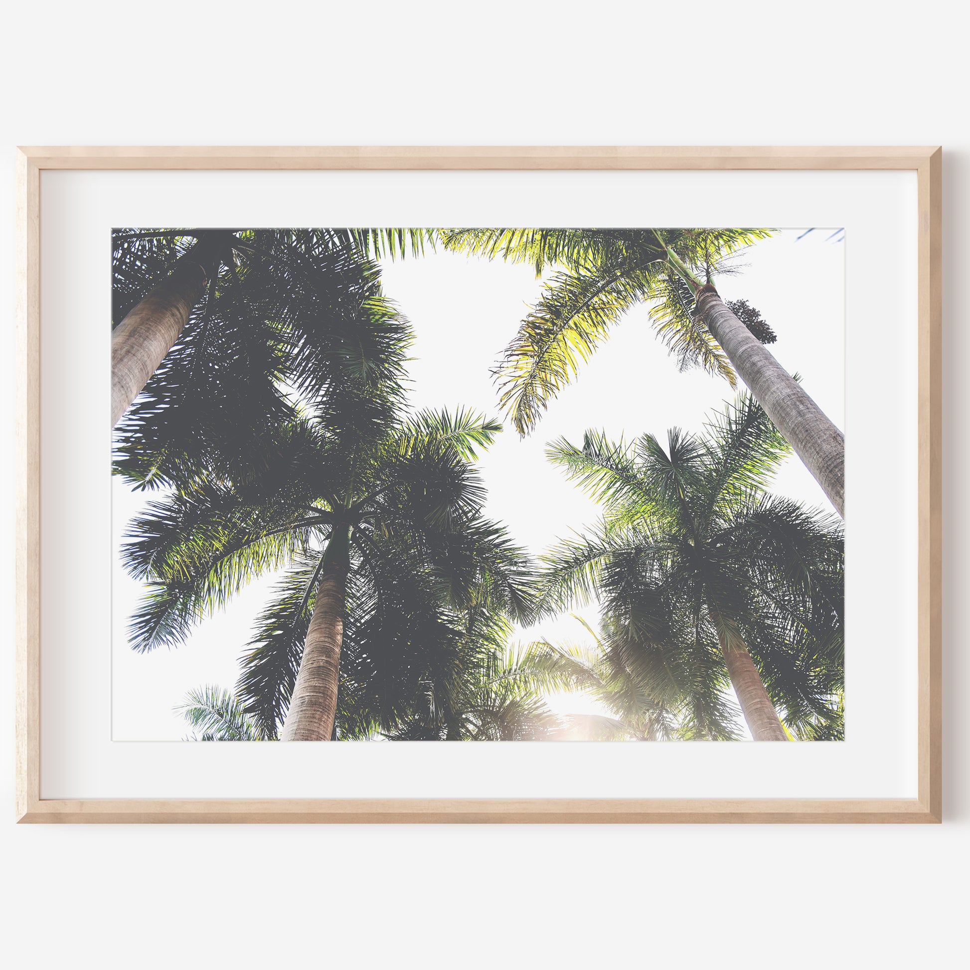Palm Trees Print | Palm Trees Poster | 17 Mile