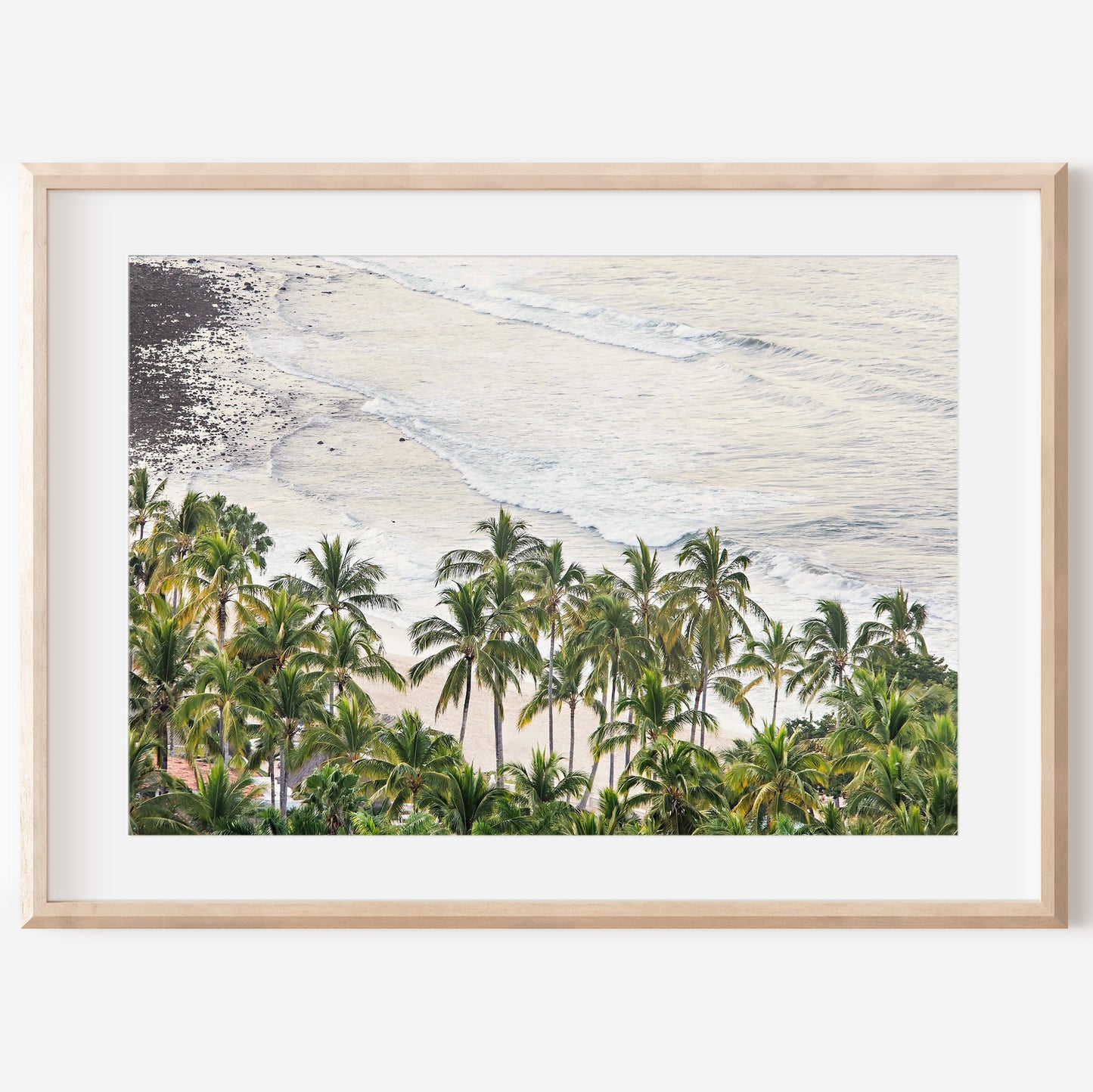 Palm with Beach Canvas | Palm Tree Print | 17 Mile