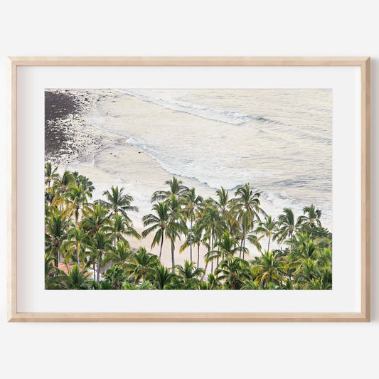 Palm with Beach Canvas | Palm Tree Print | 17 Mile
