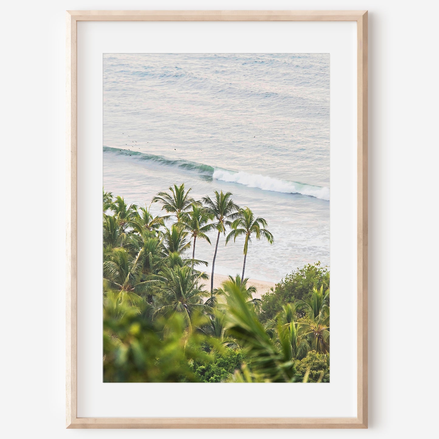 Palm Tree Print | Aerial Palm Canvas | 17 Mile