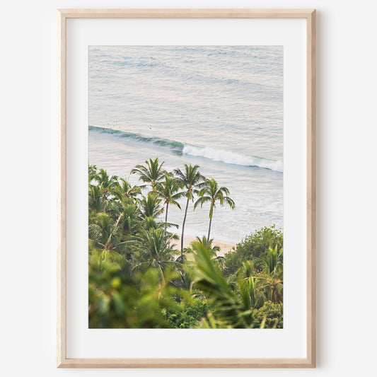 Palm Tree Print | Aerial Palm Canvas | 17 Mile