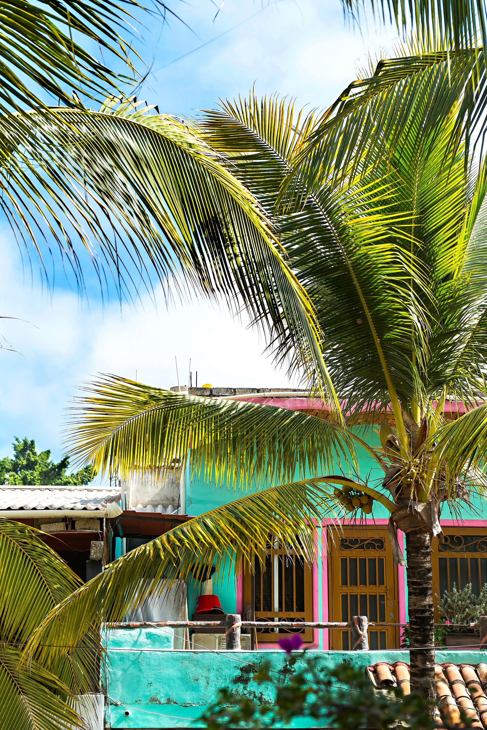 Sayulita Village Print | Sayulita Village Poster | 17 Mile