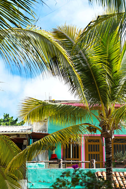 Sayulita Village Print | Sayulita Village Poster | 17 Mile
