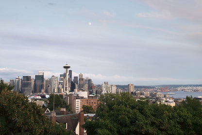 Seattle Space Needle Print