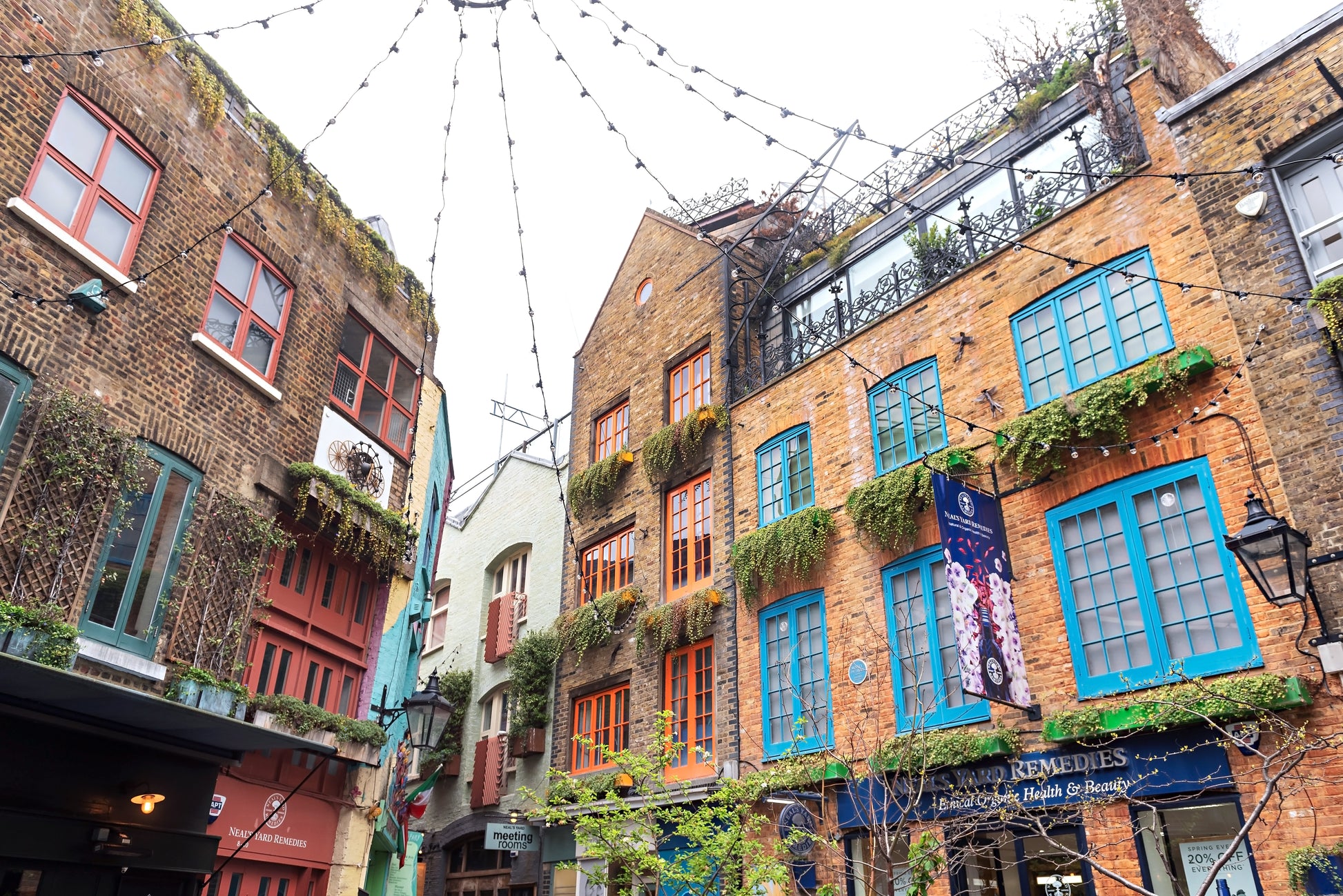 Neals Yard Print | Neals Yard Canvas | 17 Mile