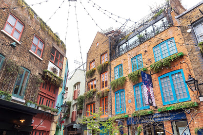 Neals Yard Print | Neals Yard Canvas | 17 Mile