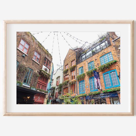 Neals Yard Print | Neals Yard Canvas | 17 Mile