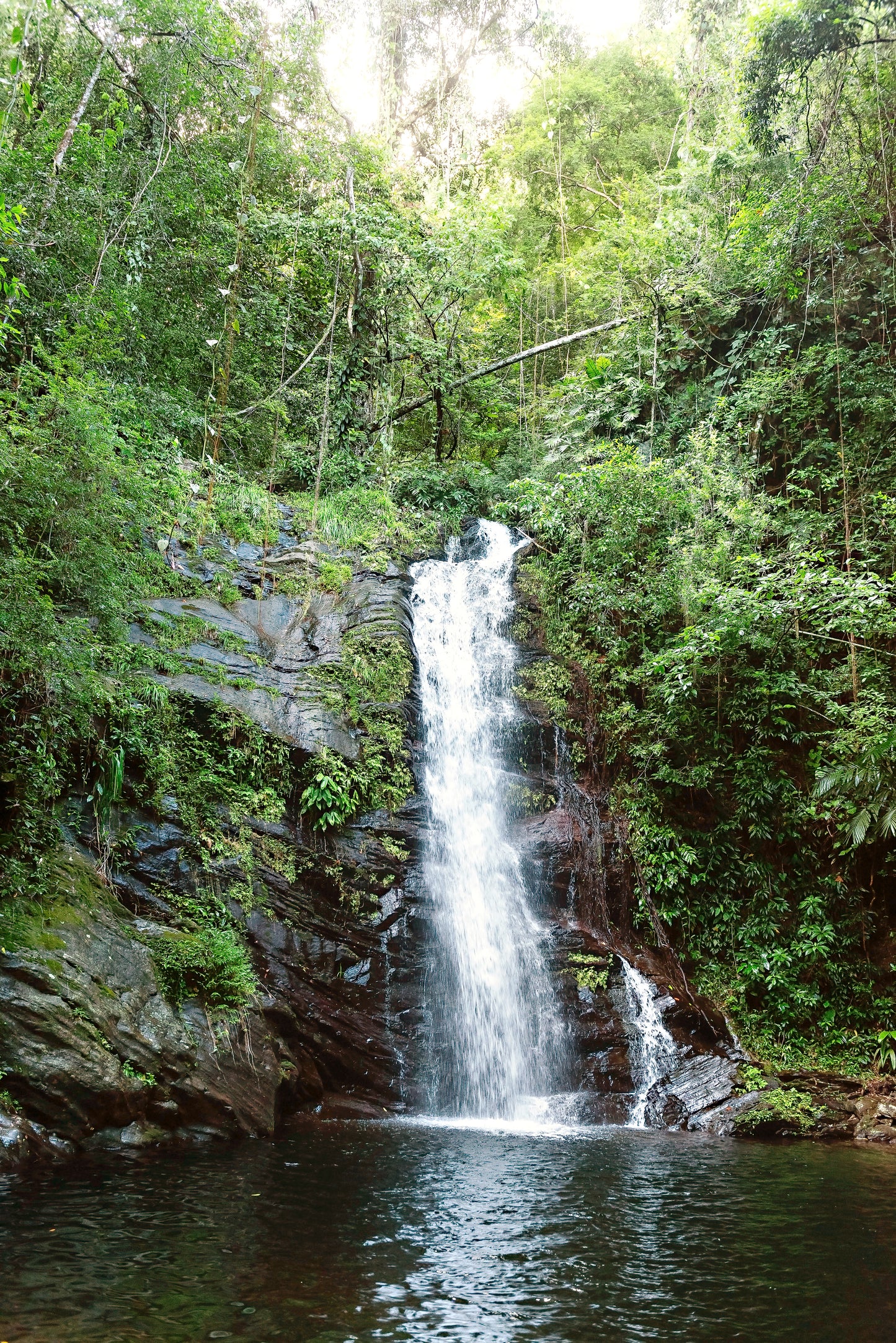 Belize Waterfall Wall Art | Waterfall Canvas Wall Art | 17 Mile