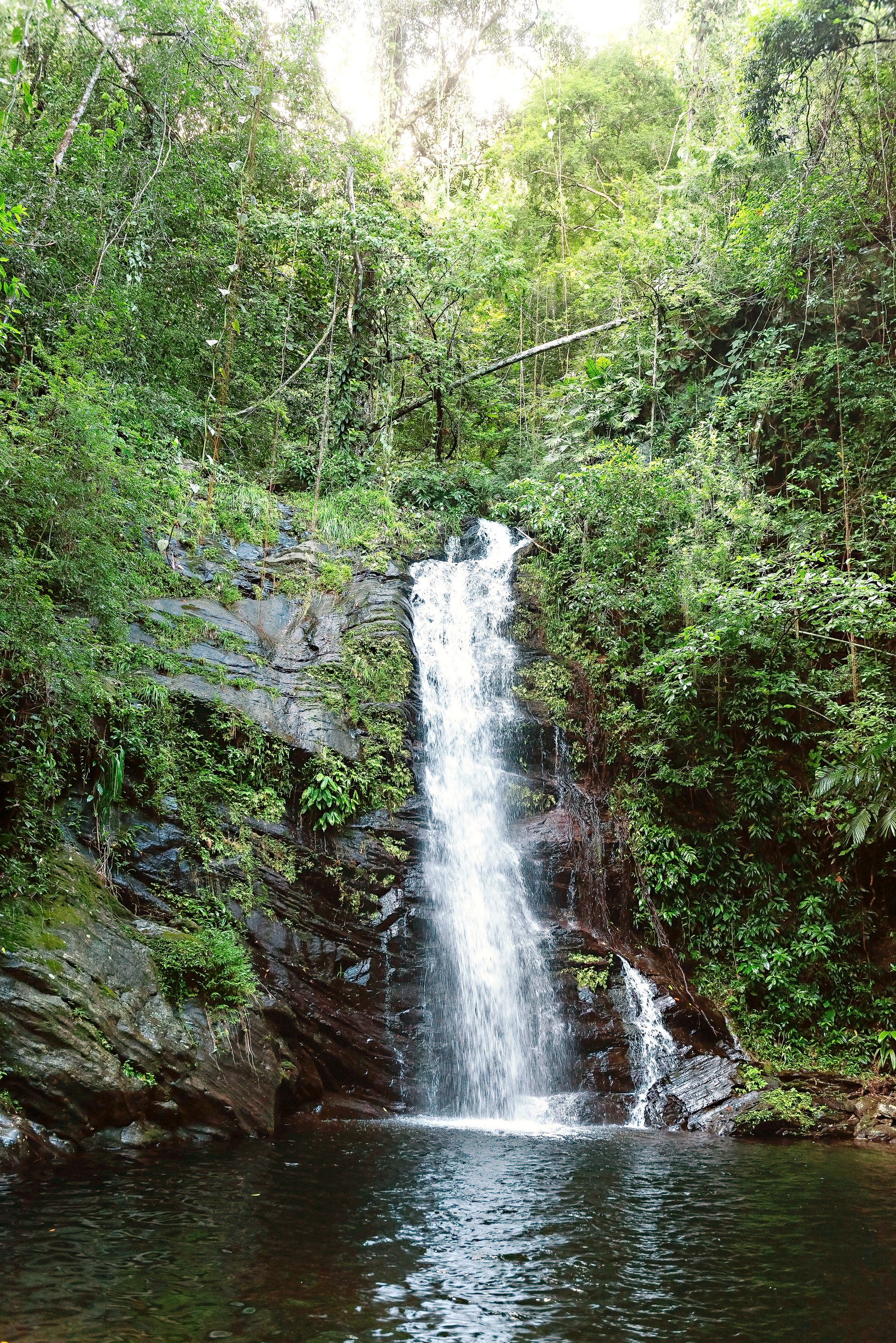 Belize Waterfall Wall Art | Waterfall Canvas Wall Art | 17 Mile