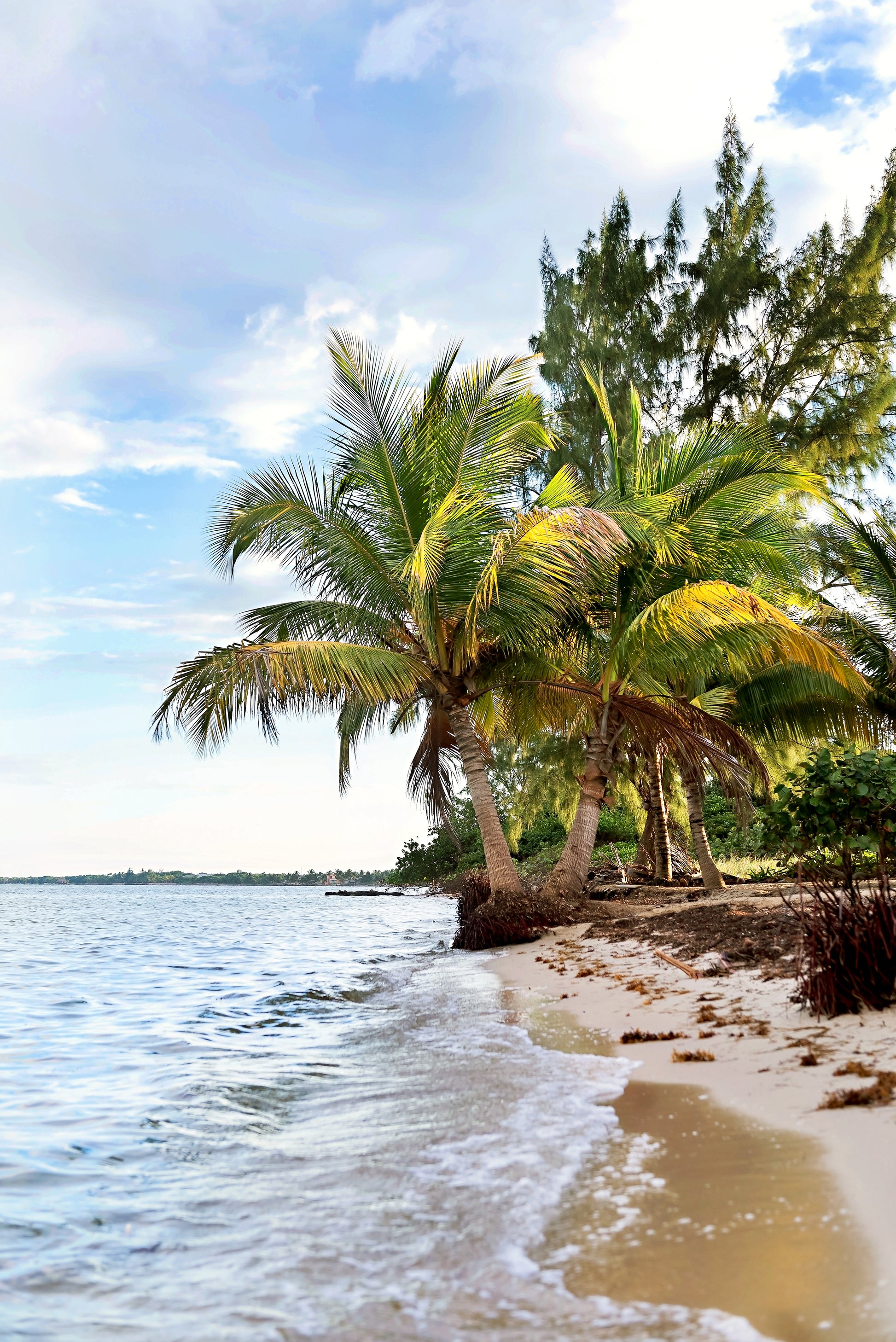Tropical Wall Canvas | Beach Wall Canvas | 17 Mile