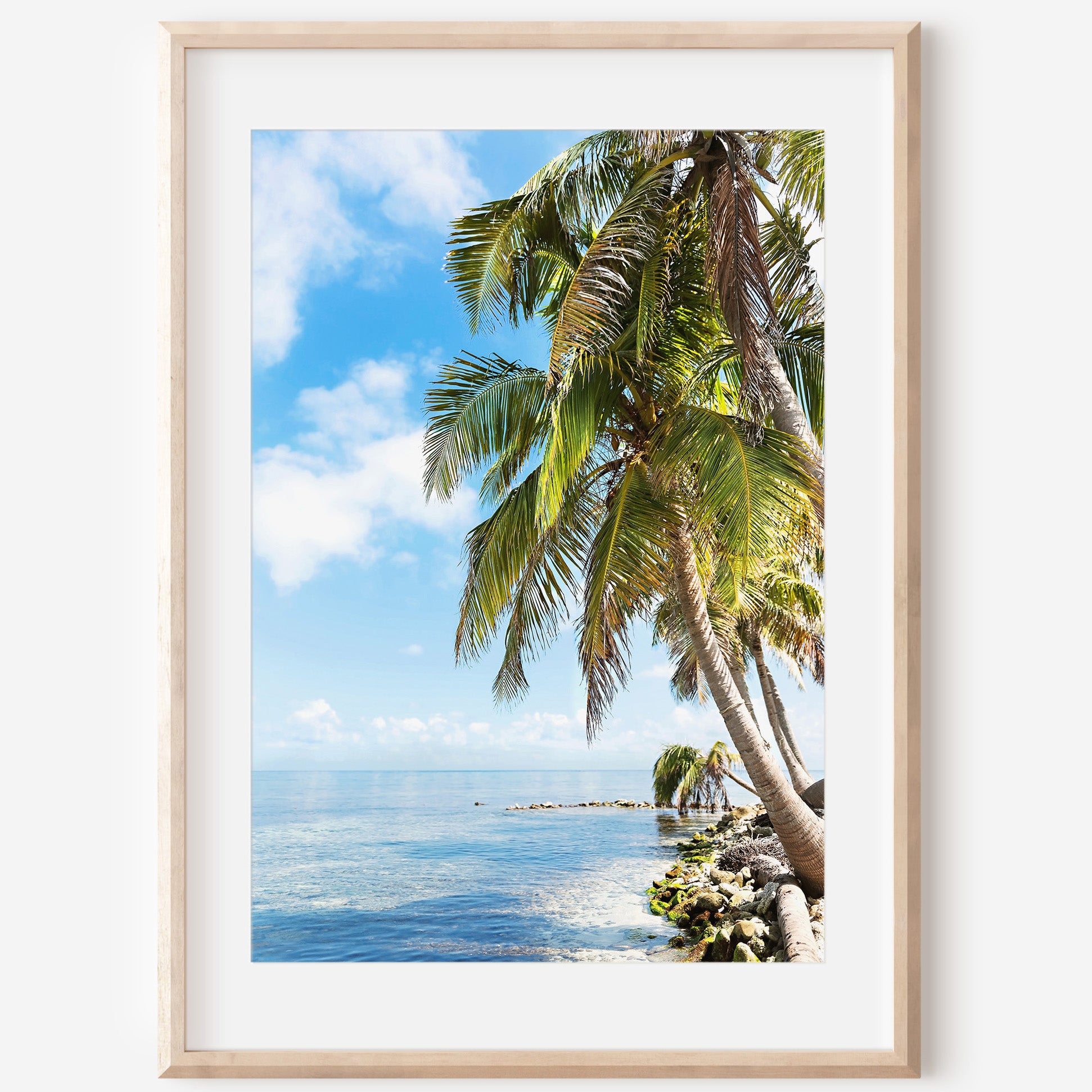 Framed Canvas Wall Art | Palm Trees Print | 17 Mile