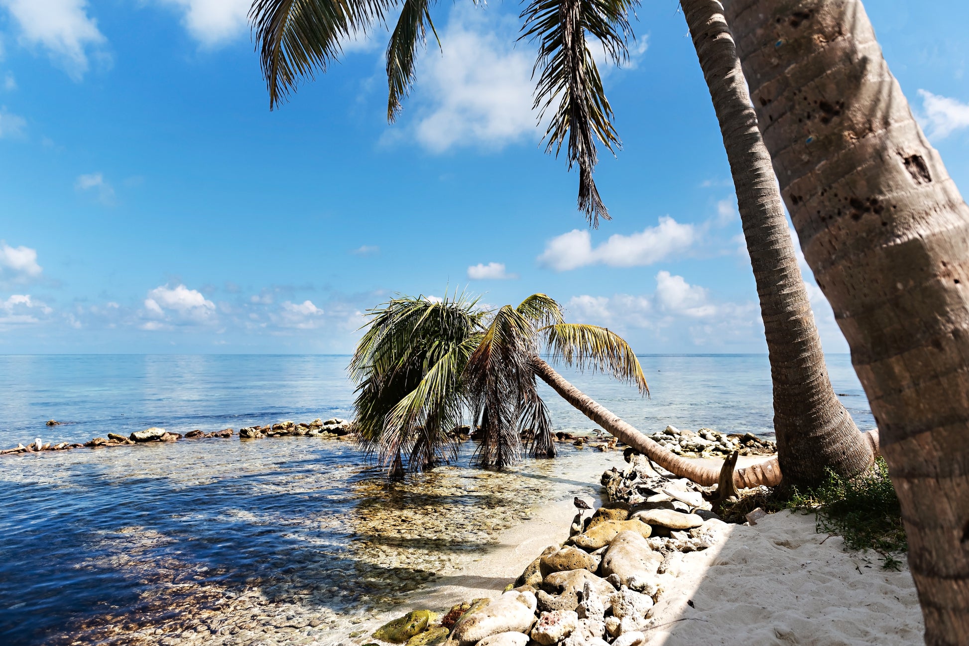 Ocean View Canvas | Beach View Canvas | 17 Mile