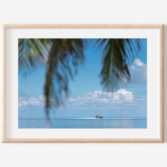 Botanical Leaf Print | Palm Leaves Canvas | 17 Mile
