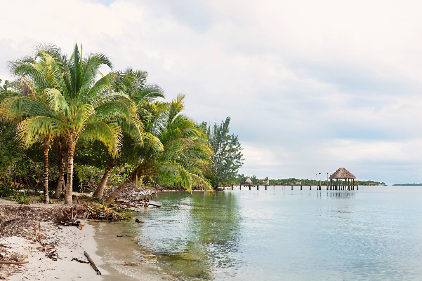 Belize Ocean Canvas | Tropical Beach Print | 17 Mile