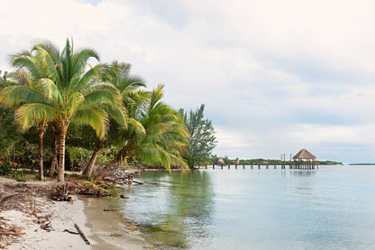 Belize Ocean Canvas | Tropical Beach Print | 17 Mile