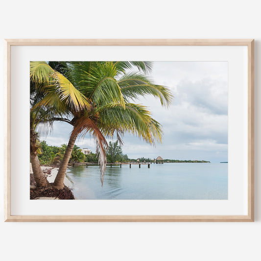 Belize Ocean Print | Belize Ocean Canvas | 17 Mile