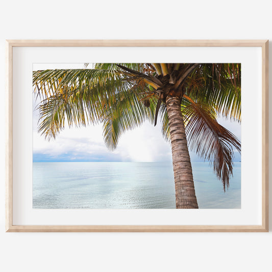 Palm Tree Wall Art | Palm Tree Canvas | 17 Mile