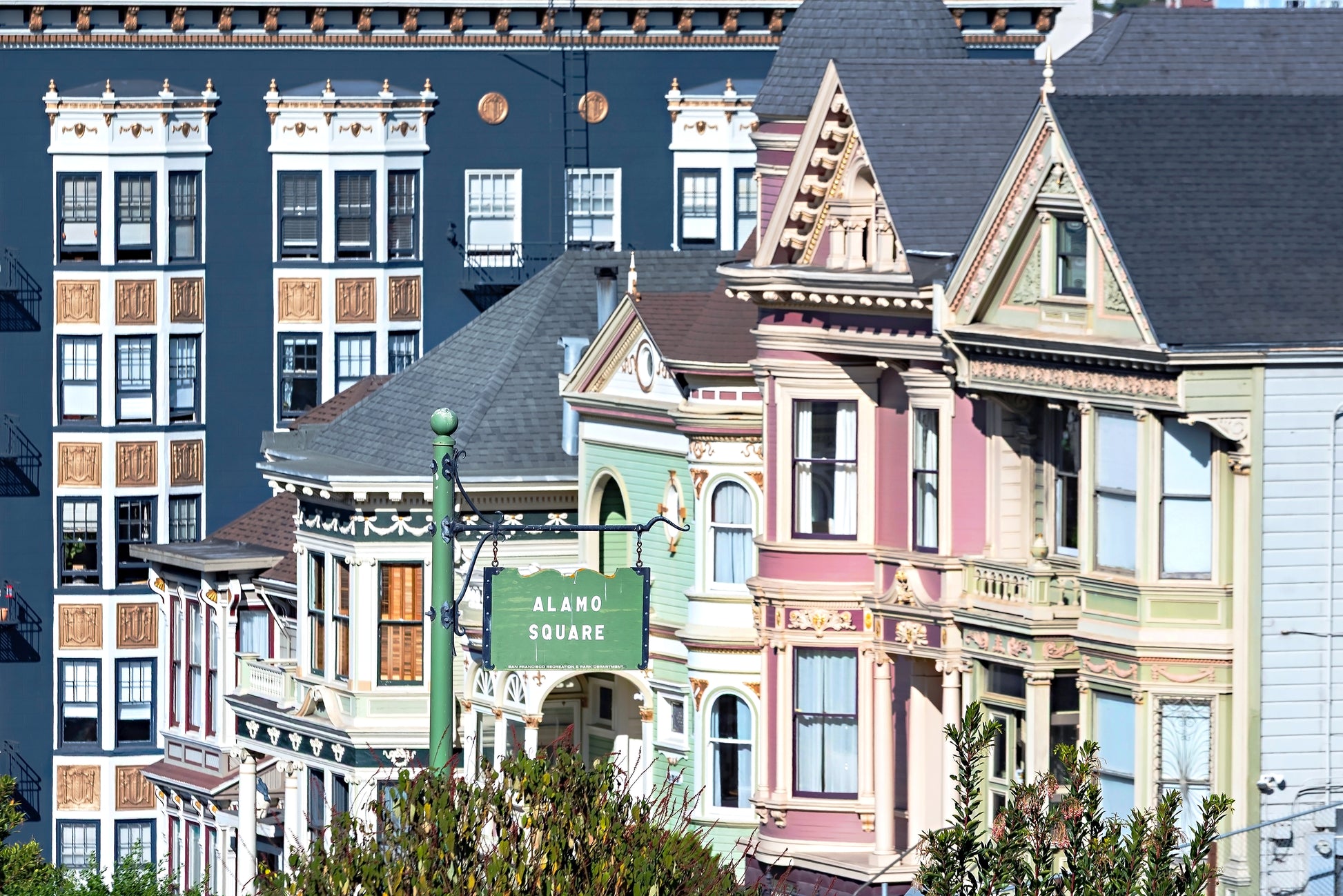 Painted Ladies Print | Painted Ladies Canvas | 17 Mile