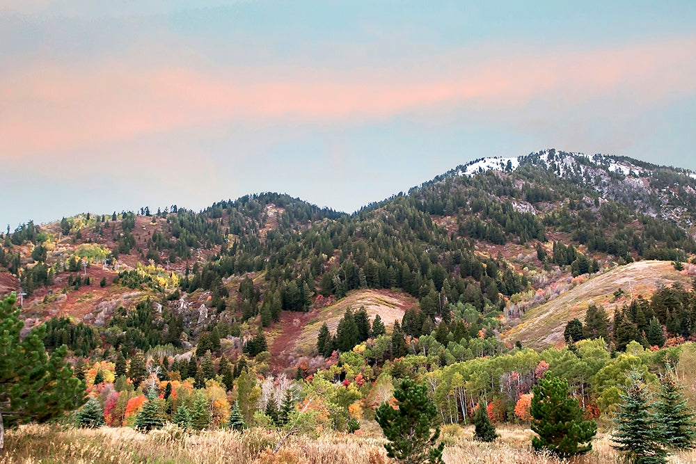 Autumn Colors Mountain Print | Utah Fall Photography | 17 Mile