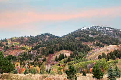 Autumn Colors Mountain Print | Utah Fall Photography | 17 Mile