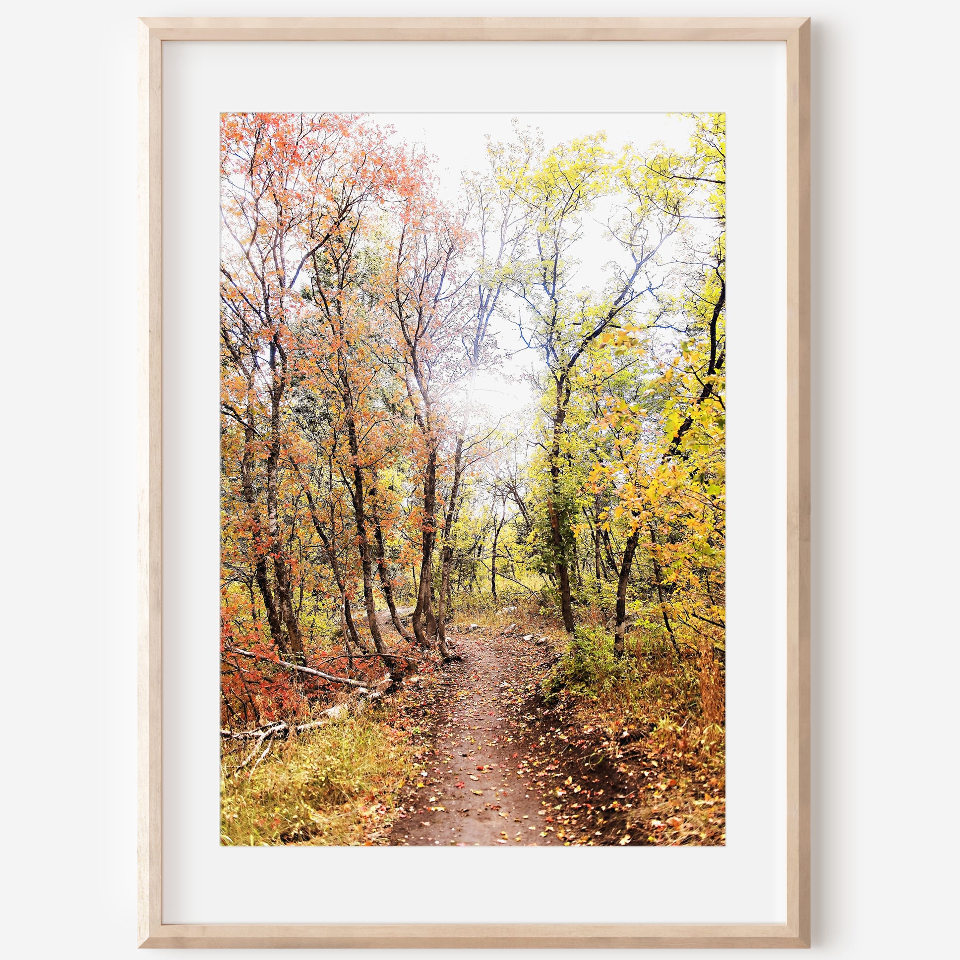 Autumn Trail Print | Utah Fall Photography | 17 Mile