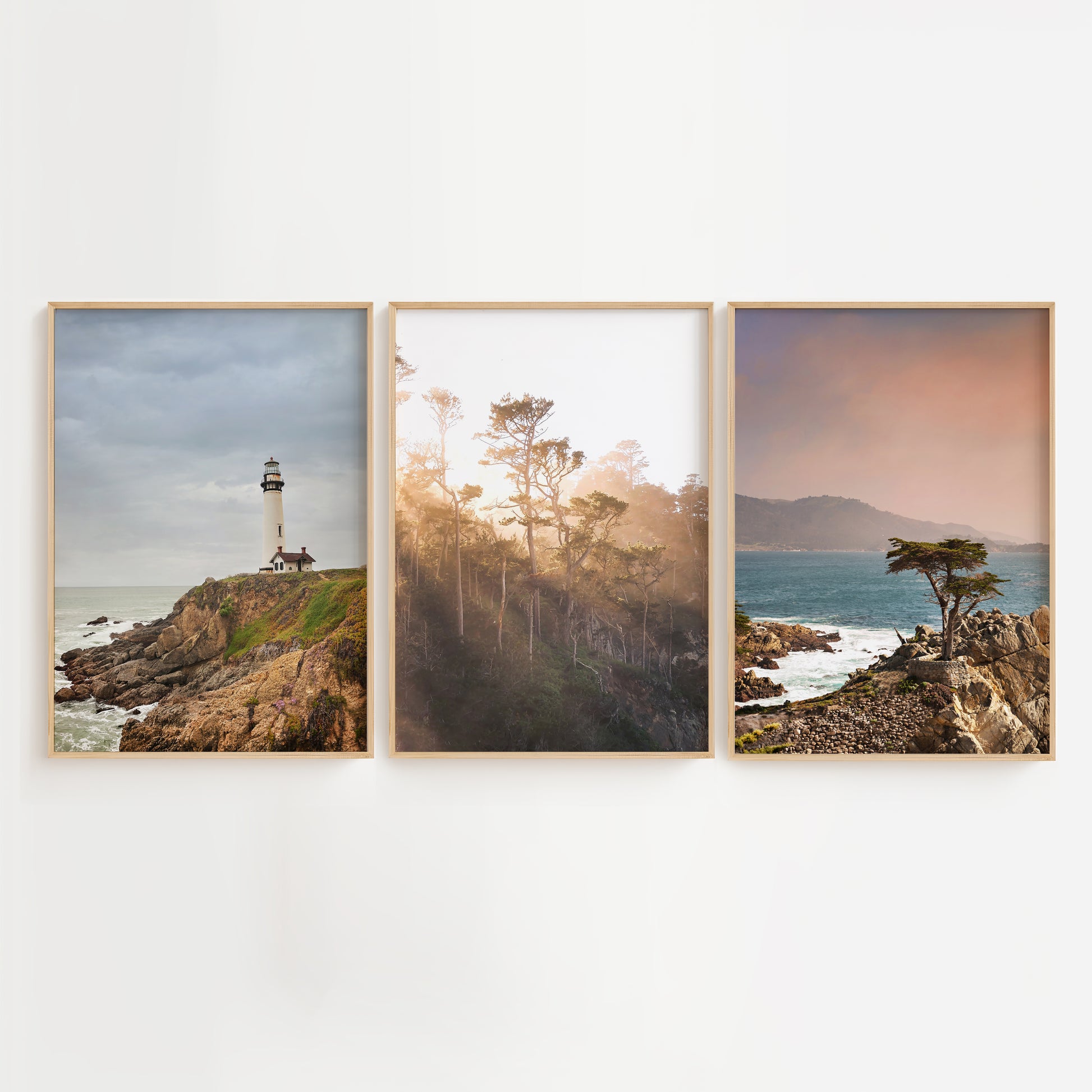 California Nature Print | California Photo Set | 17 Mile