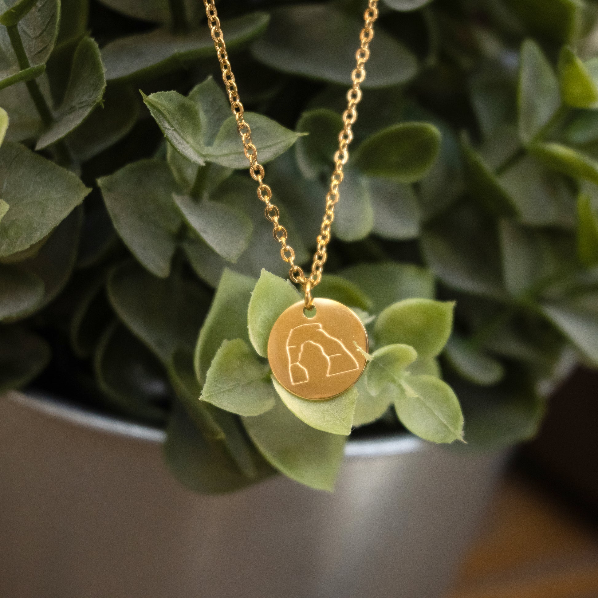 Delicate Arch Necklace | Stainless Steel Necklace | 17 Mile
