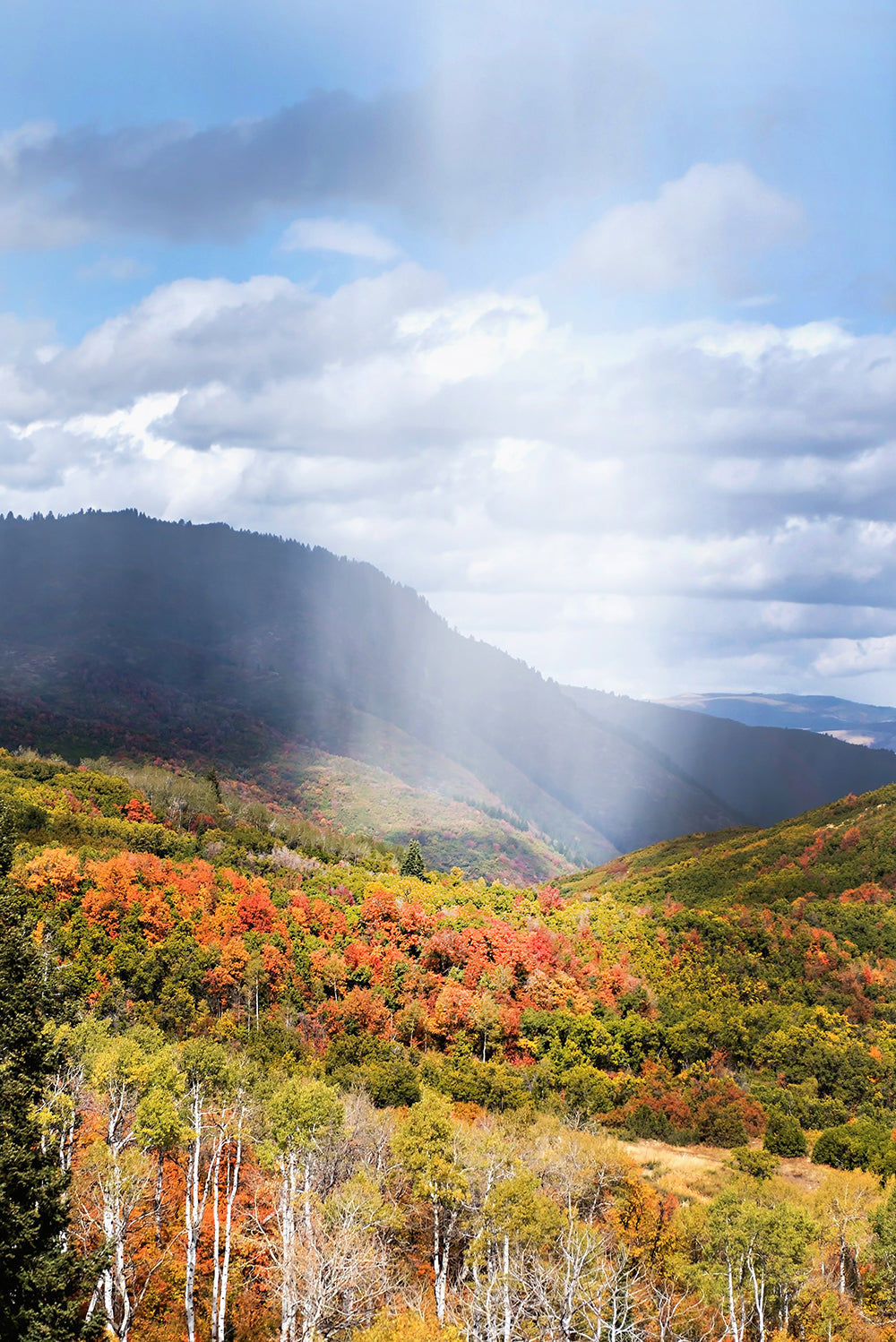 Rainy Autumn Mountain Print | Utah Fall Photography | 17 Mile