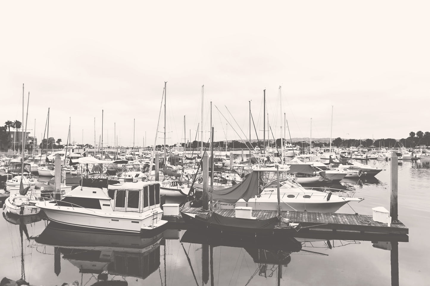 Harbor Wall Print | San Diego Canvas | 17 Mile