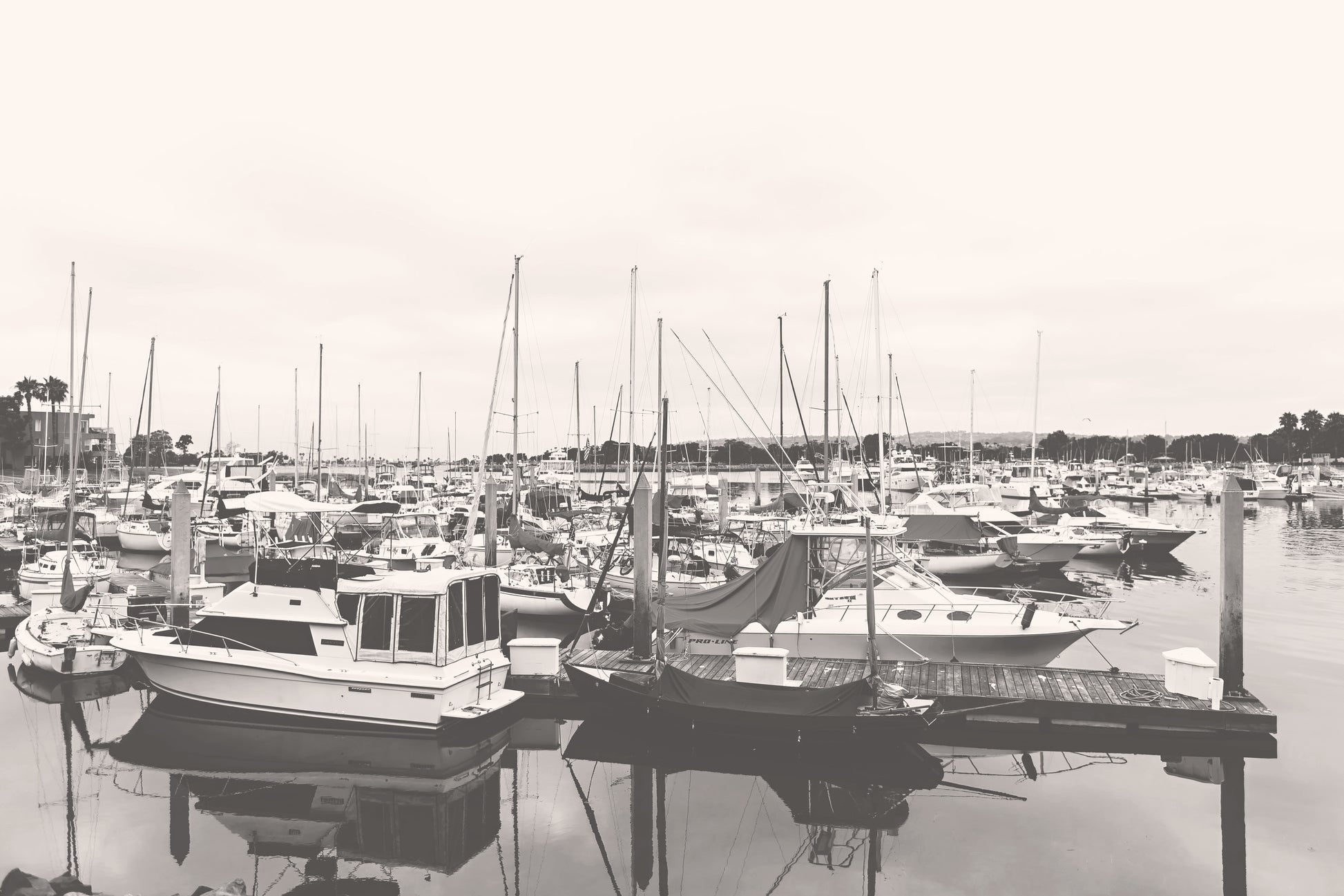 Harbor Wall Print | San Diego Canvas | 17 Mile