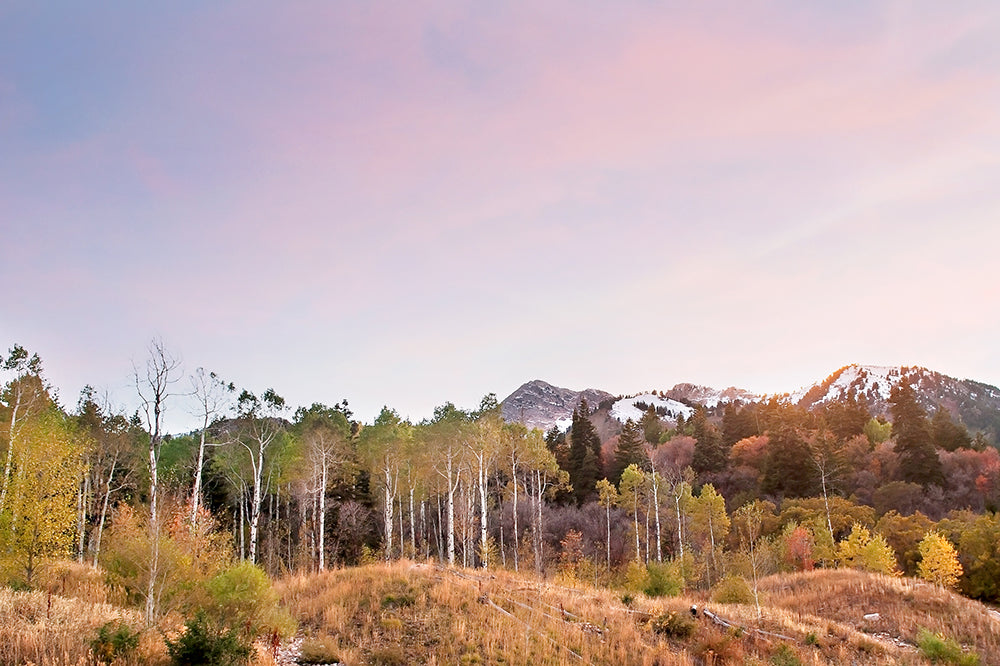 Utah Mountain Autumn Print | Utah Fall Photography | 17 Mile