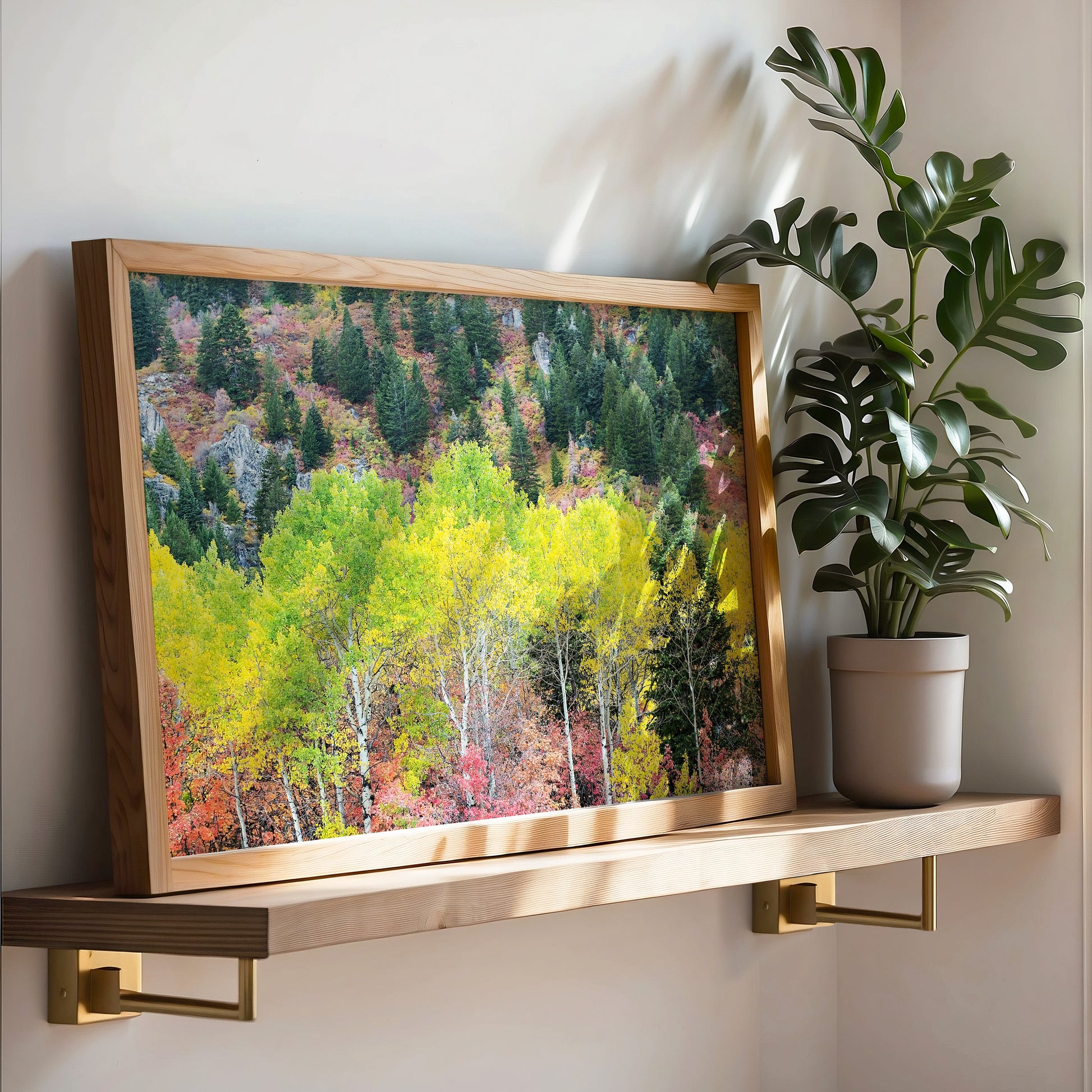 Vibrant Fall Trees Print | Utah Fall Photography | 17 Mile