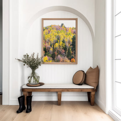 Yellow Quaking Aspens Print | Utah Fall Photography | 17 Mile