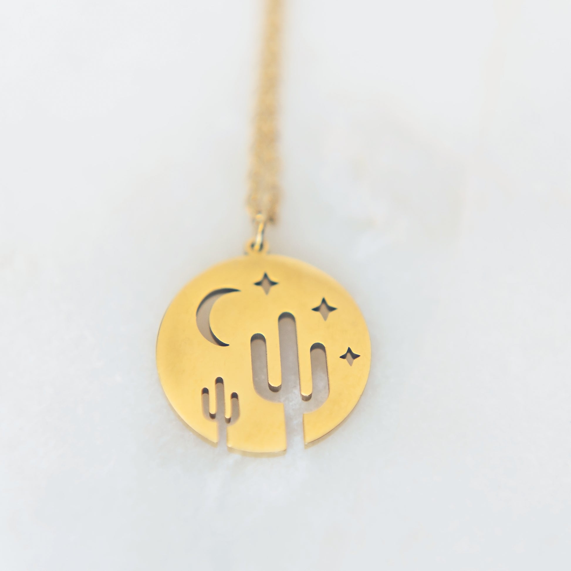 Desert Scene Necklace | Stainless Steel Necklace | 17 Mile