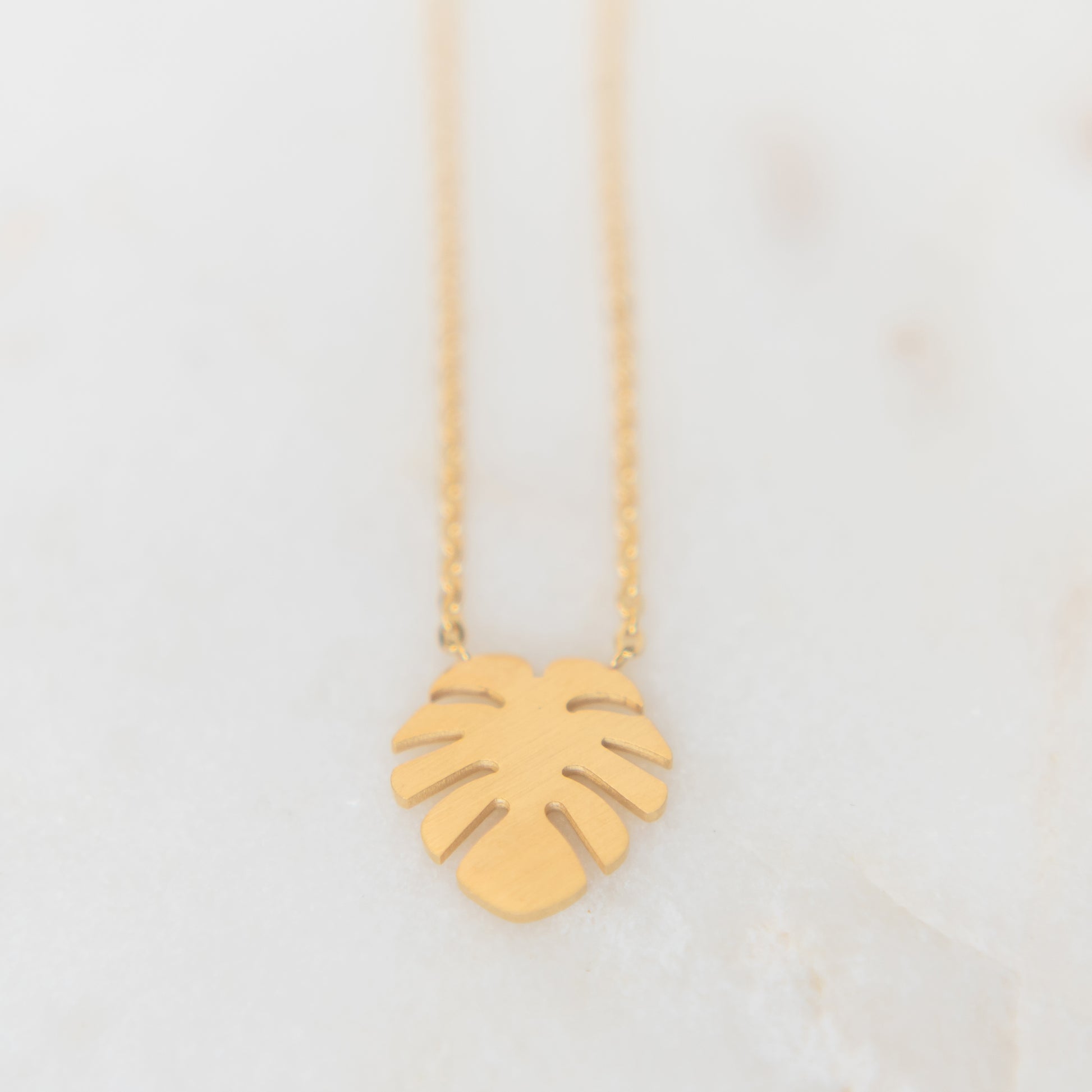 Palm Leaf Necklace | Stainless Steel Necklace | 17 Mile